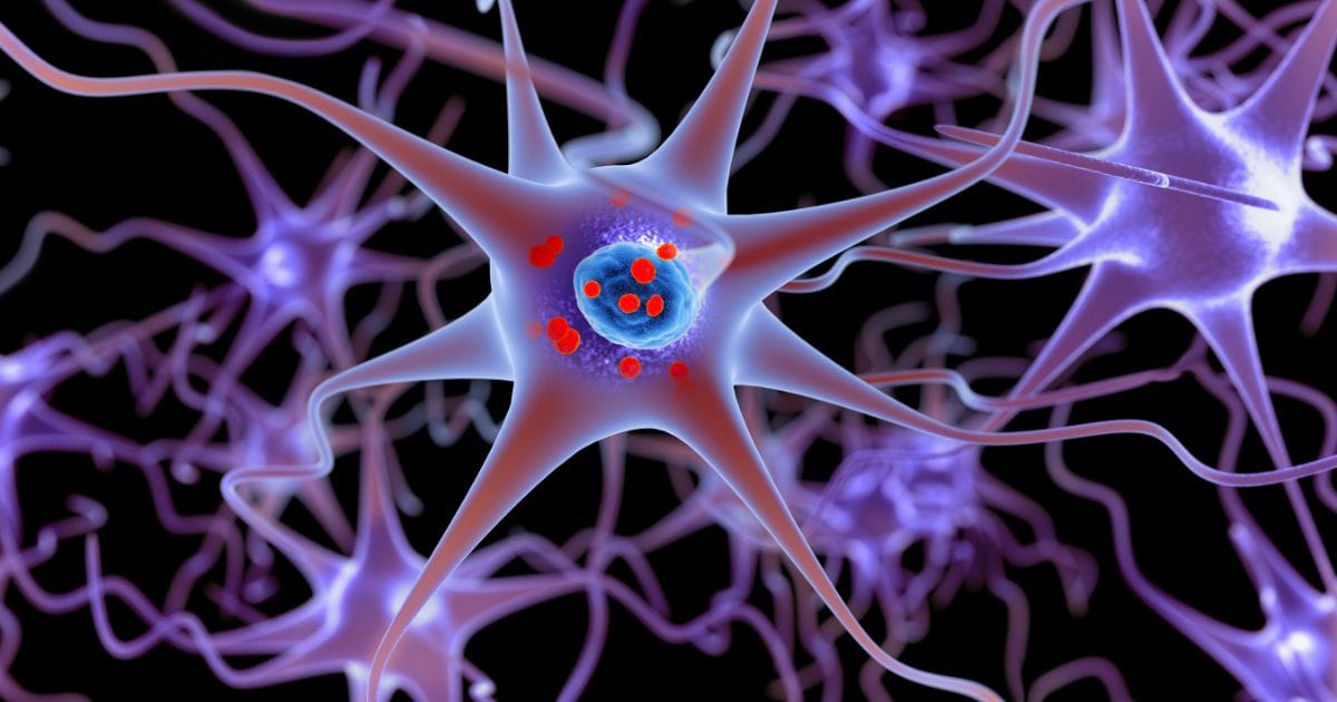 Gut Microbiome Patterns May Offer Early Clues to Parkinson’s Risk