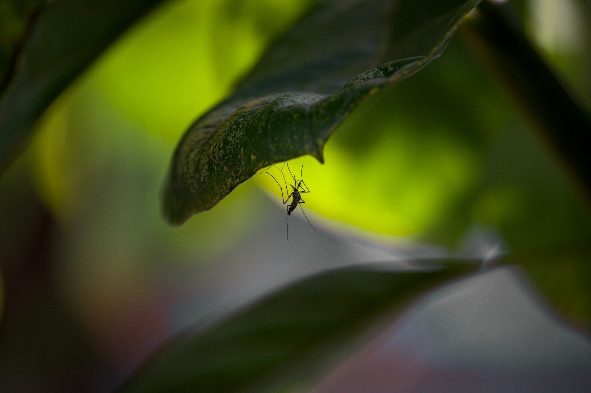 Adventuring through the Canadian Rockies