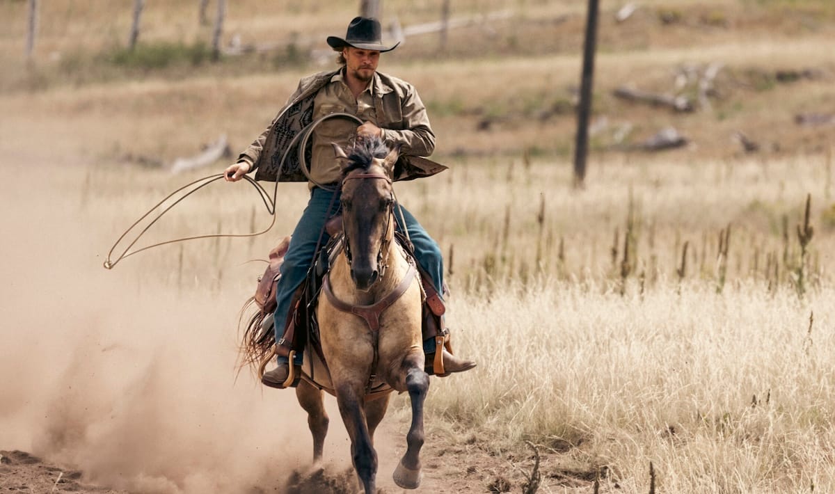 Let's do the numbers