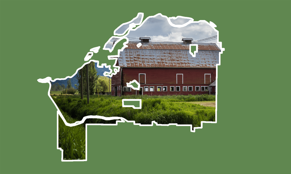 Chilliwack: a changing community on the eve of an election