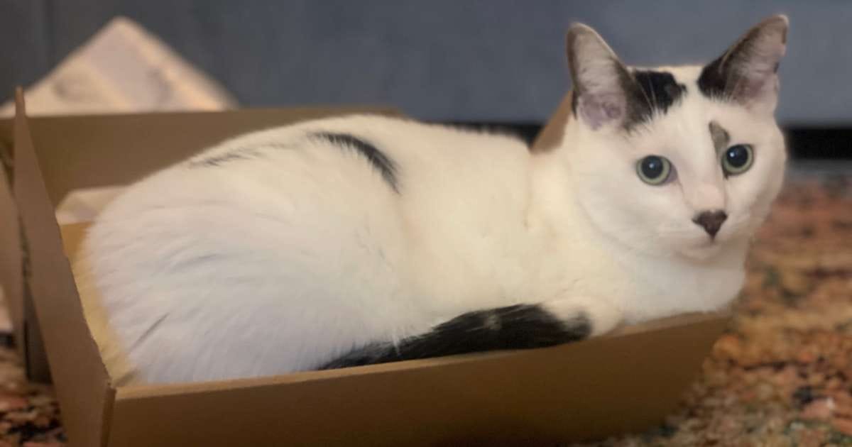 China retaliates after US tariffs