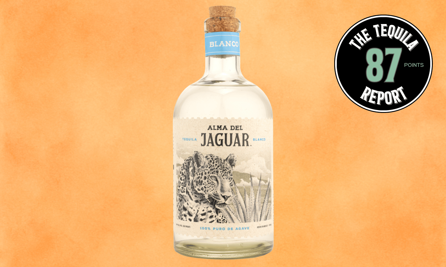 Adventuring through the Canadian Rockies