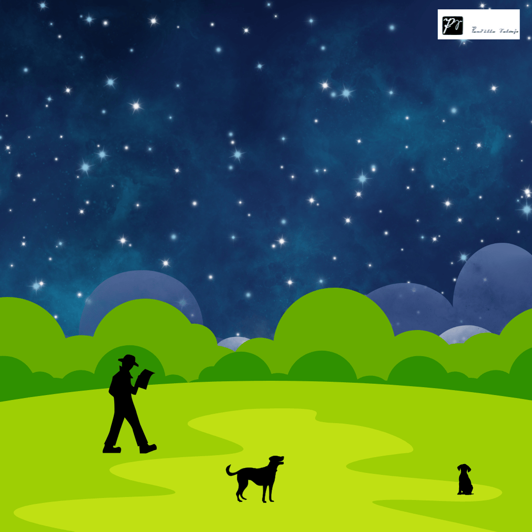 Adventuring through the Canadian Rockies