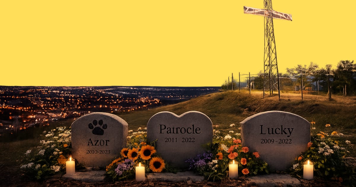 ⏳ Primul cimitir de animale din Sibiu?