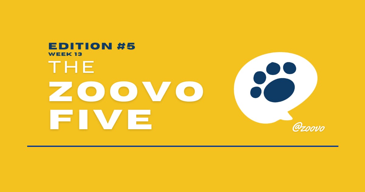 Edition #5: A Puppy Raising Chicks, Holiday Pet Stress, Cooling Mats Tested, Barking Decoded & A Behaviour Expert in Utrecht