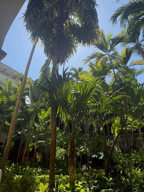 G.R.O.W or G.R.O.W.N