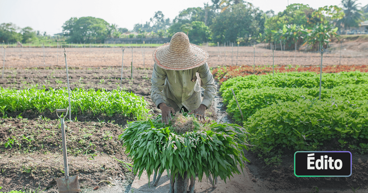 La transition agricole au cœur des enjeux du climat et de la biodiversité
