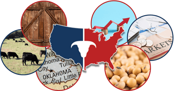 Adventuring through the Canadian Rockies