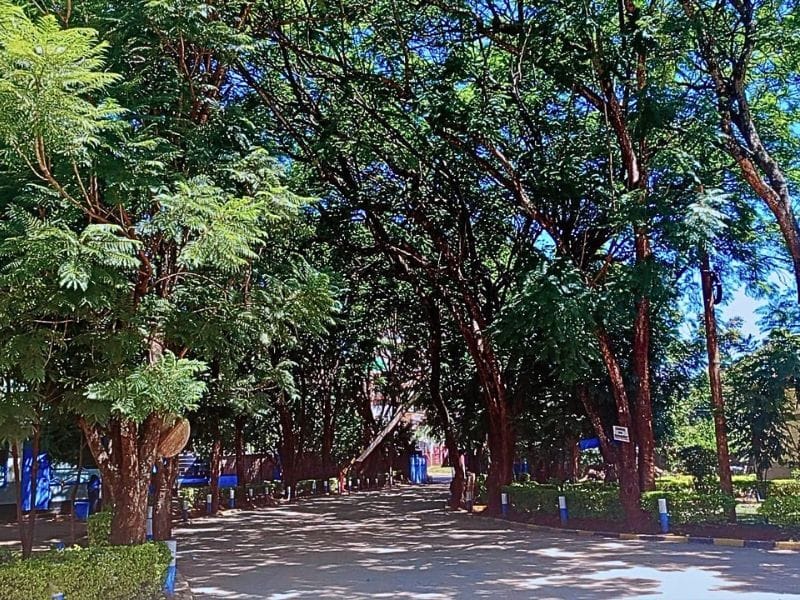 The HHS Legacy - Issue 001