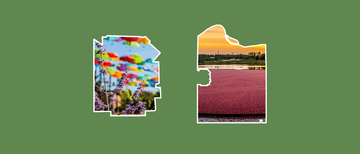 The battles for mayor and the future of the Langleys