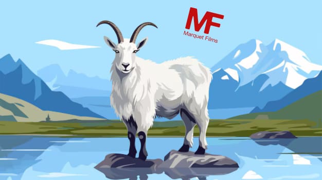 The Legend Who Saved Our Film