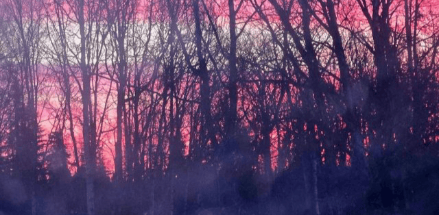 💜[03/06] the creativity for good friday five