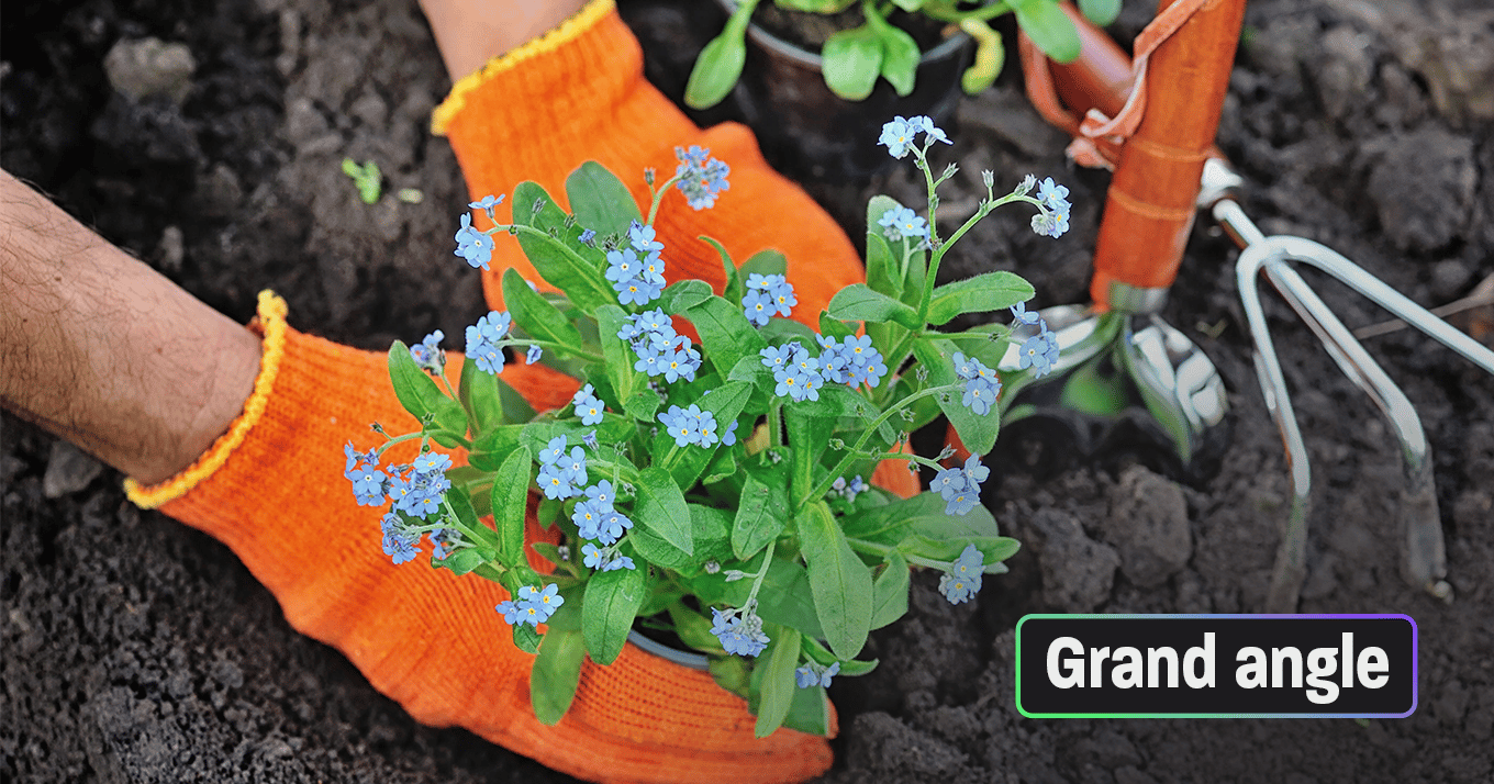 Comment jardiner avec moins d’eau et de pesticides