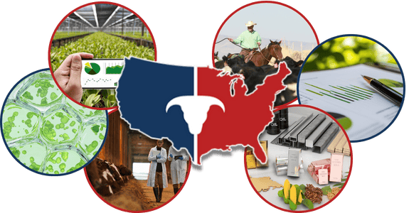 Adventuring through the Canadian Rockies