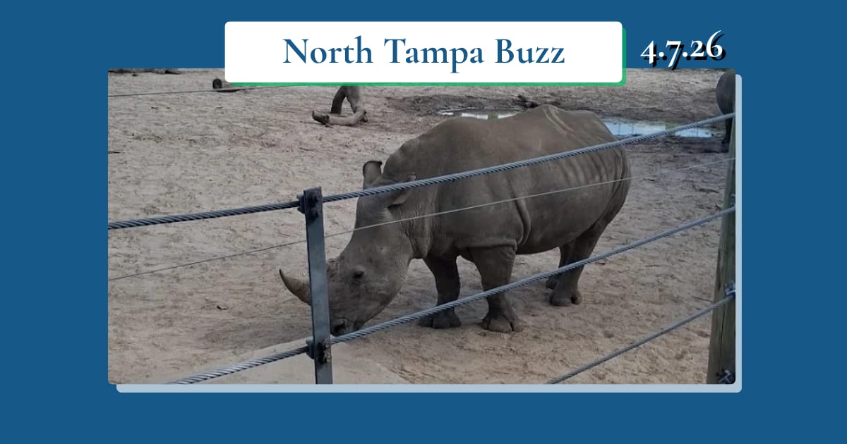 🚀 Eyes on the Sky This Week