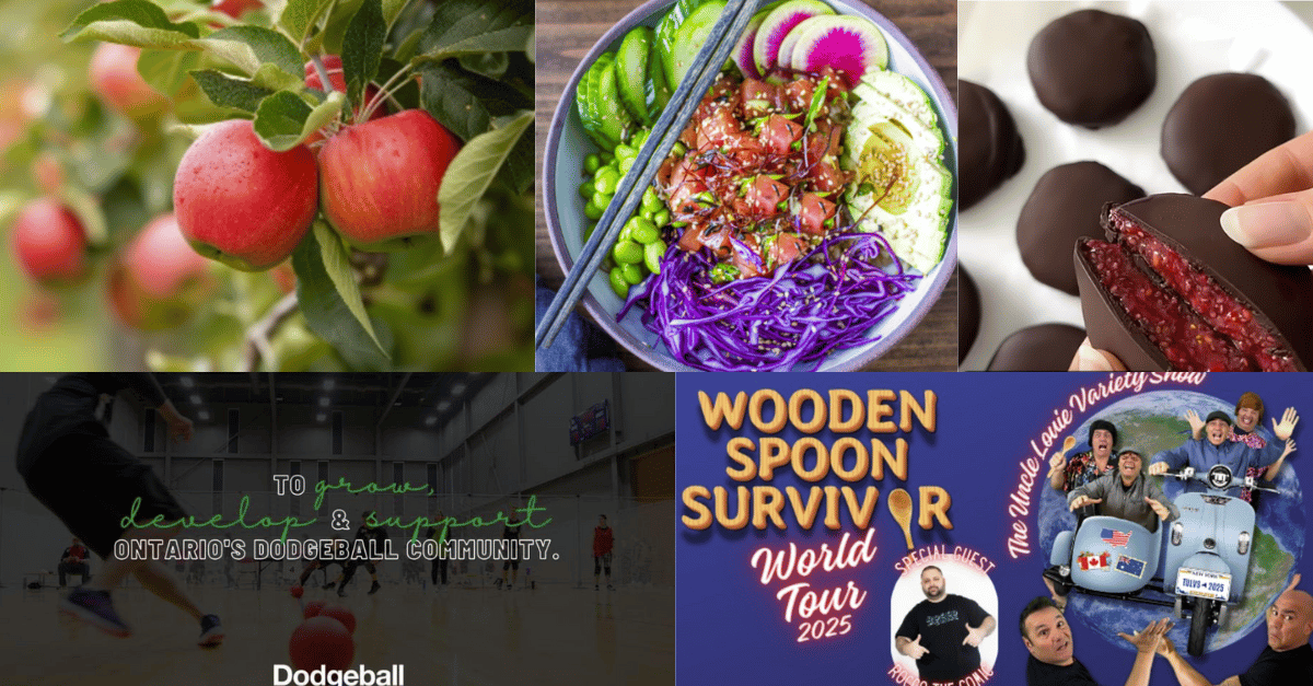 📌 5 Picks That’ll Save Your Weekend