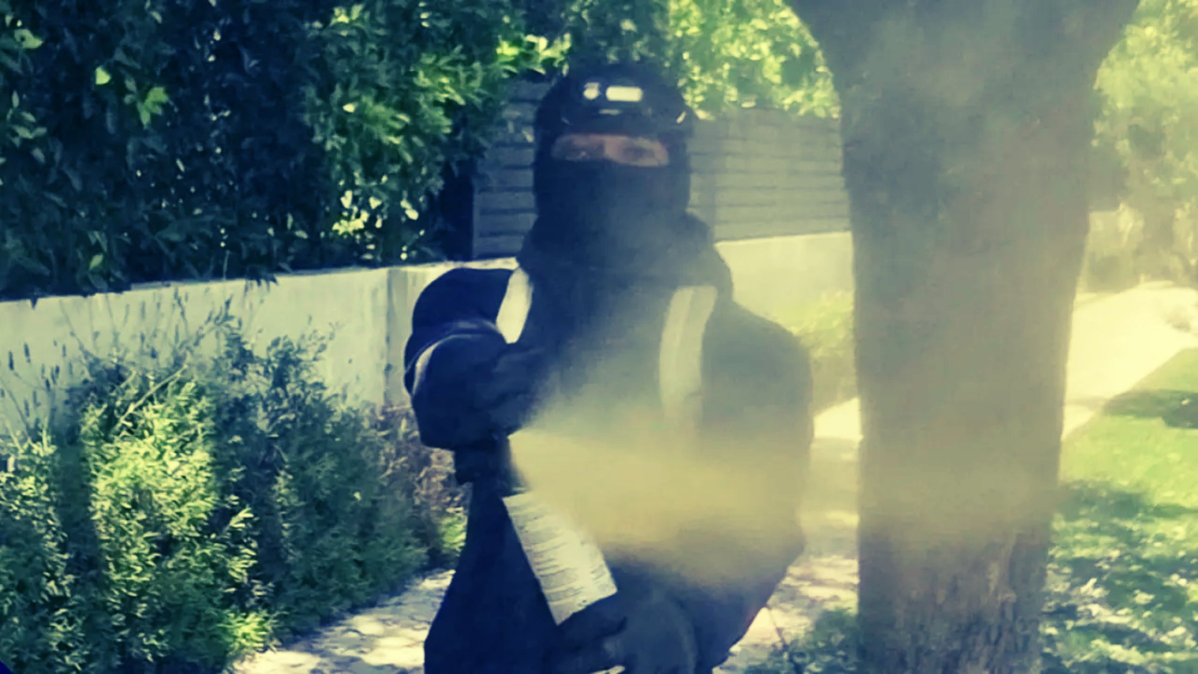 🚨 Valley Crime Alert: Neighbor Attacked During Break-In Attempt - Issue #0040