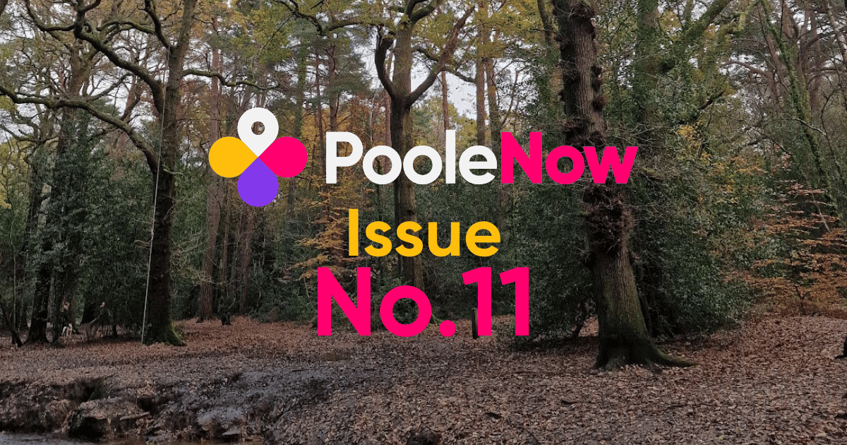 🌊 99 Problems but a Flake Ain’t One - It's Issue No.11