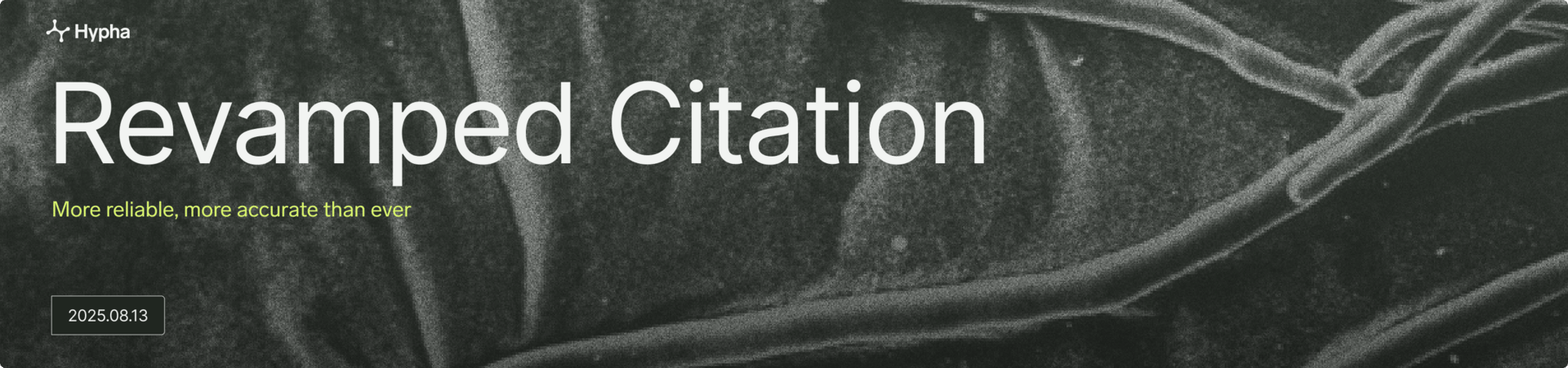 Adventuring through the Canadian Rockies