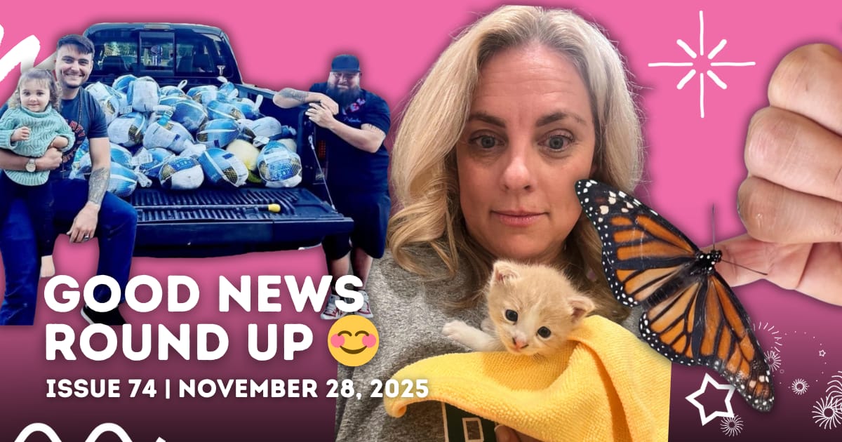 Adventuring through the Canadian Rockies