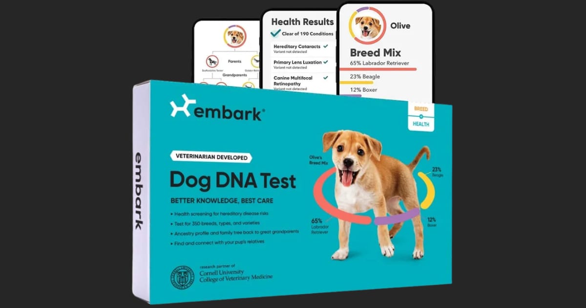 Adventuring through the Canadian Rockies