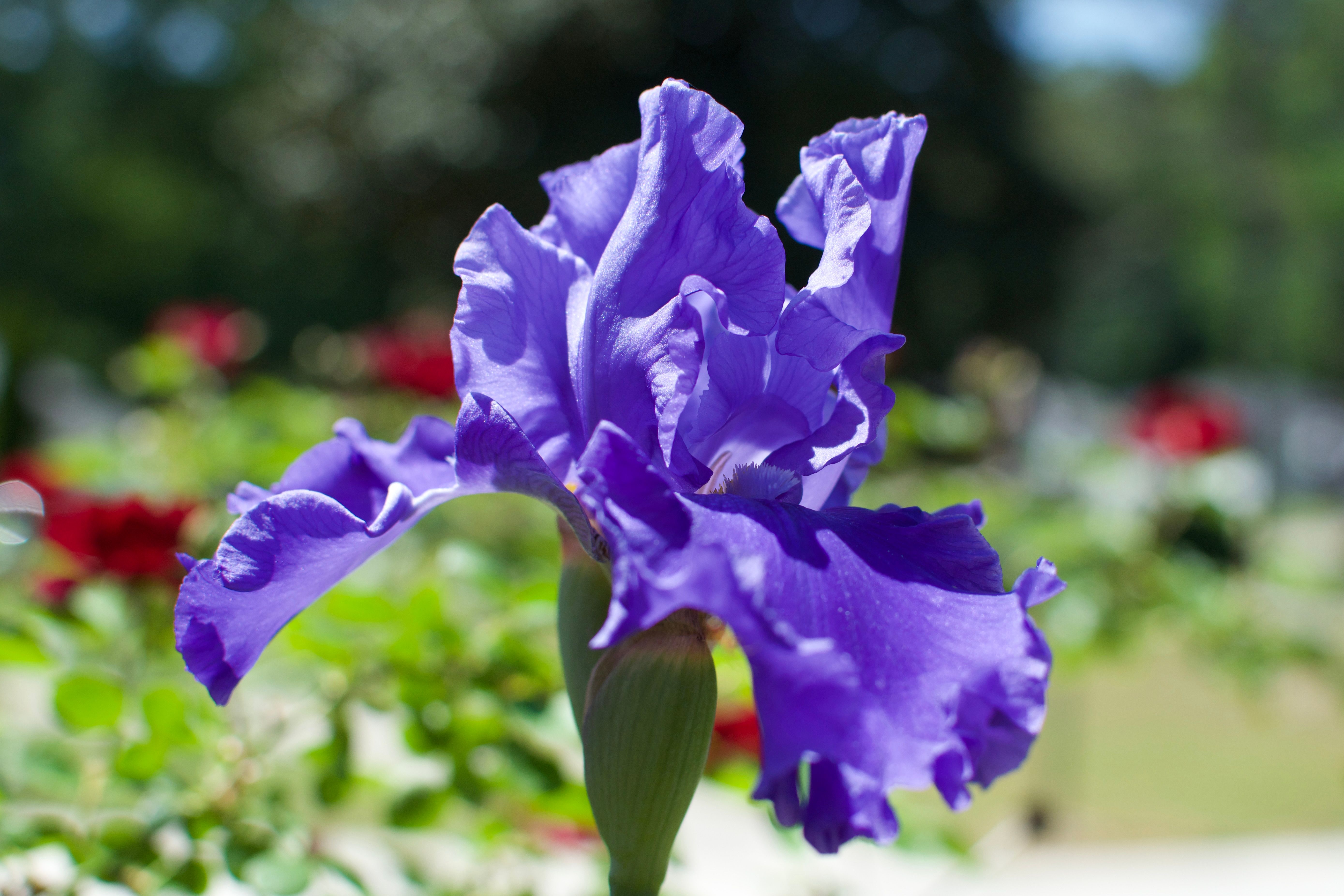 Issue 0: What’s going on here?