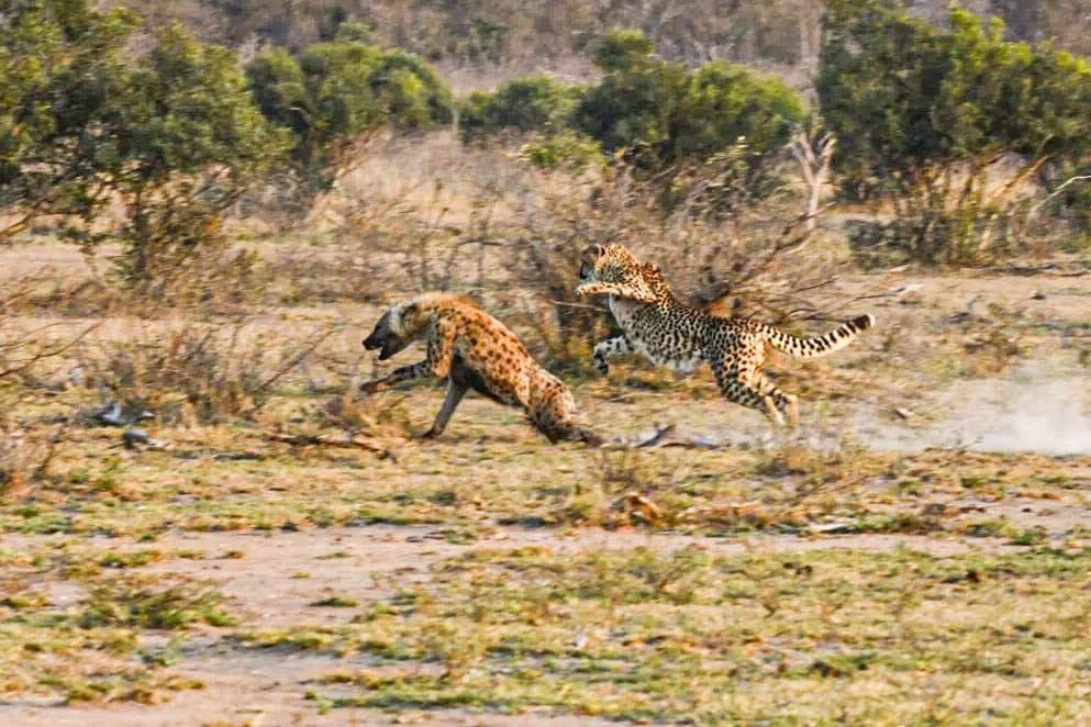 Adventuring through the Canadian Rockies