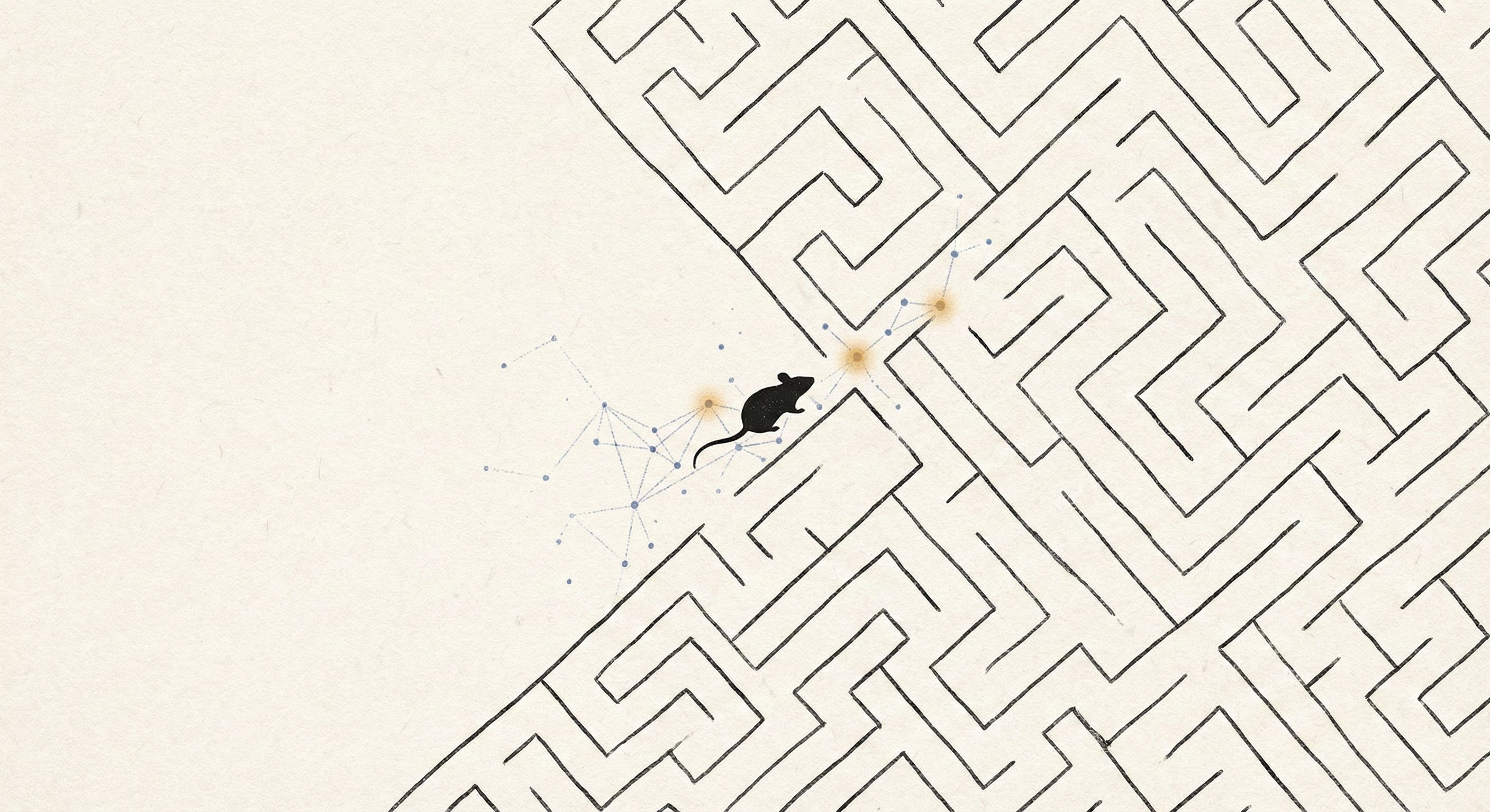 If we rejuvenate neurons, do we erase the mind?