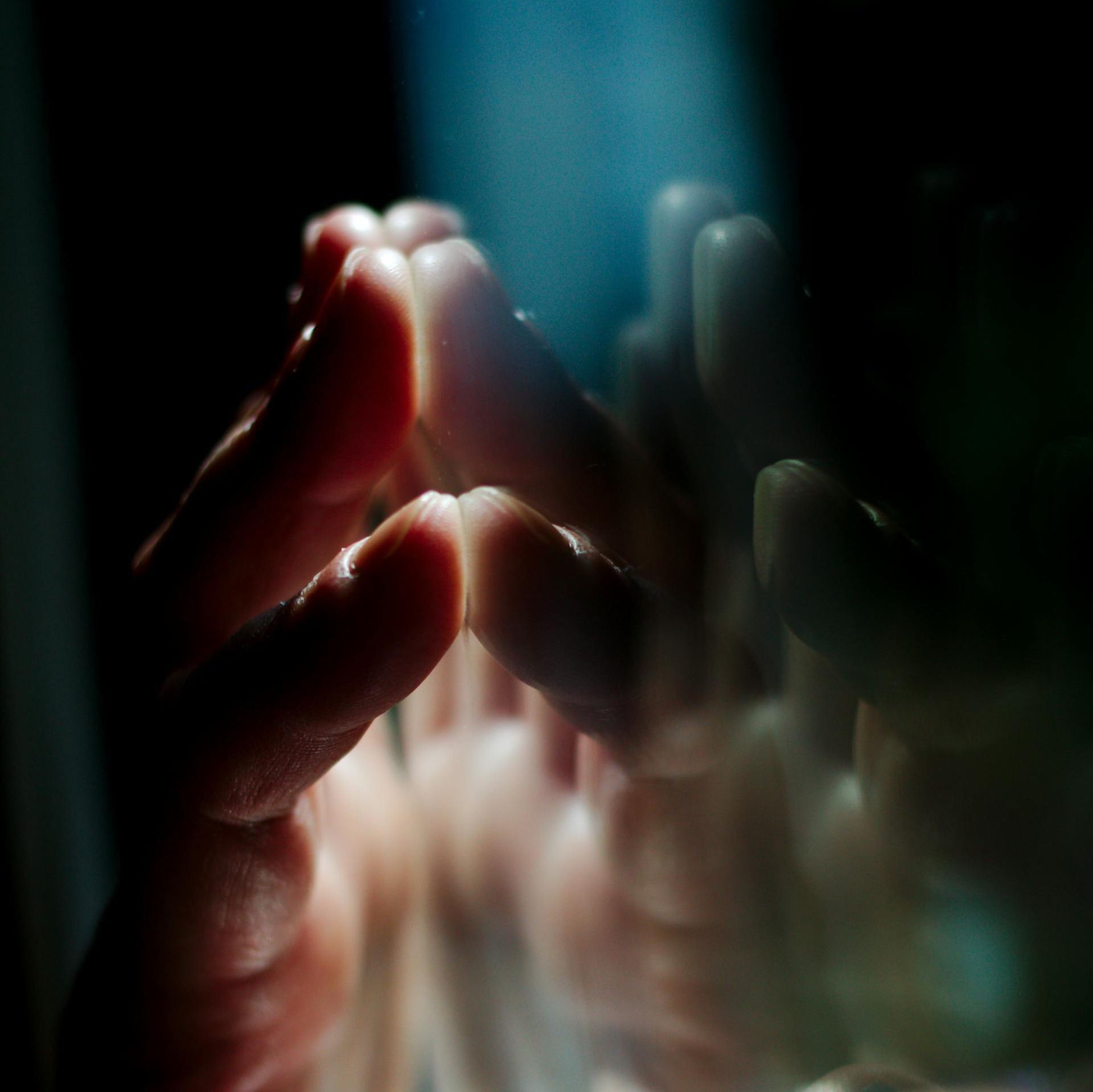 Adventuring through the Canadian Rockies