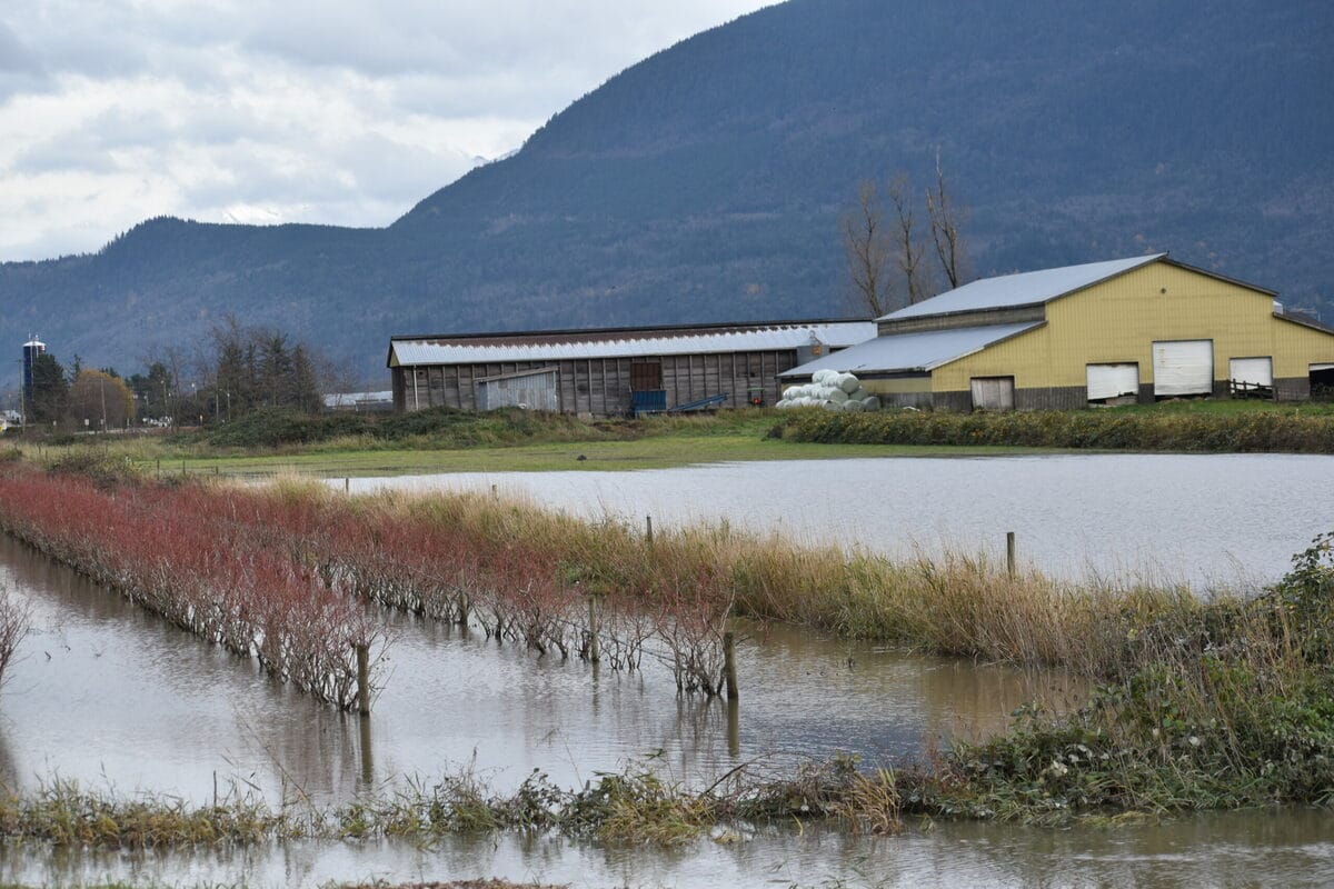A deep dive into Sumas Prairie’s soil