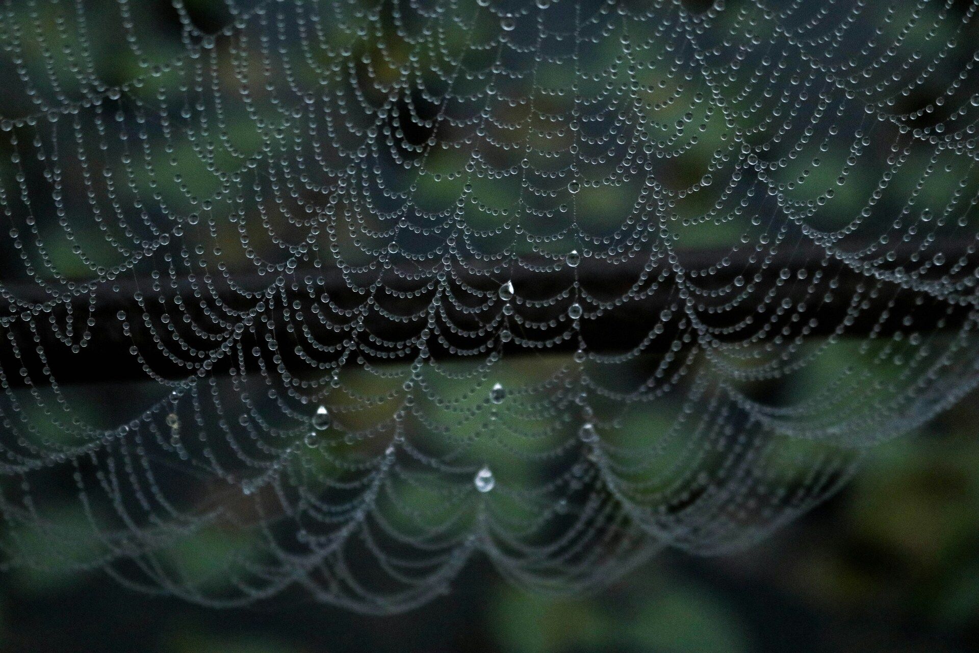 Adventuring through the Canadian Rockies