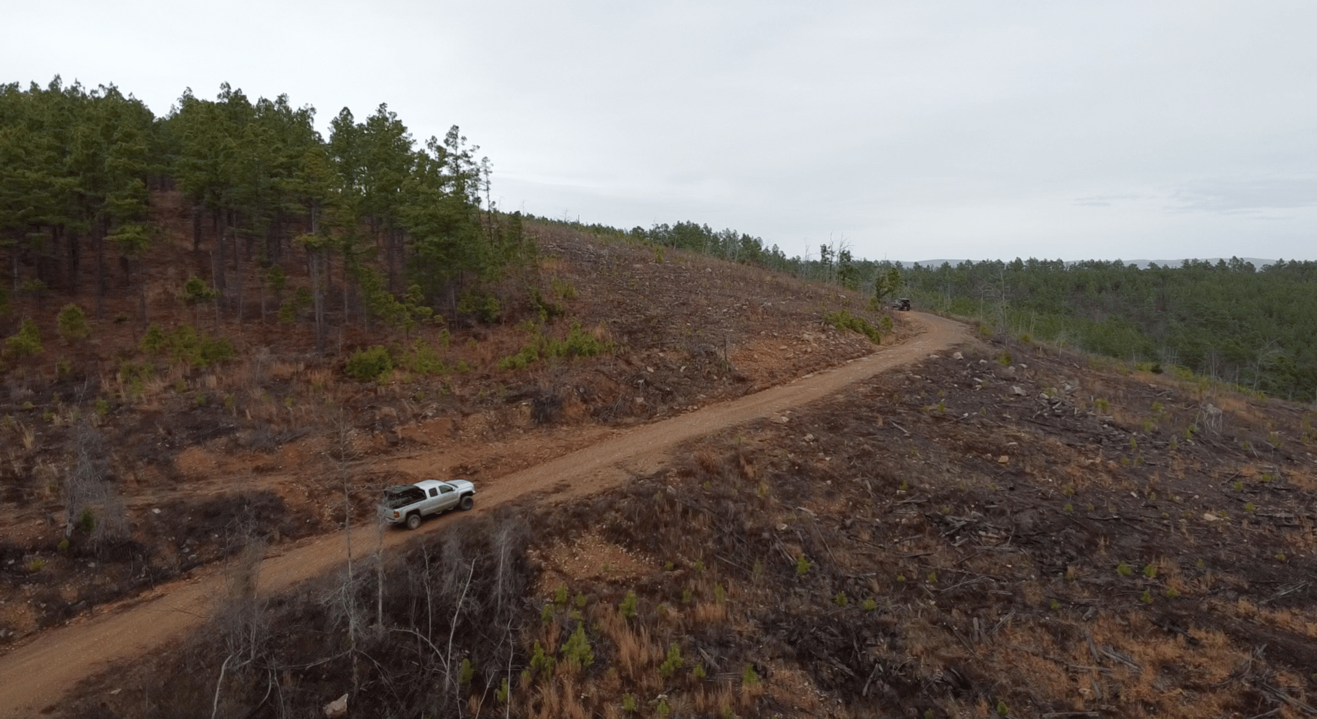 First trip to the Ouachita and Ozark Forests