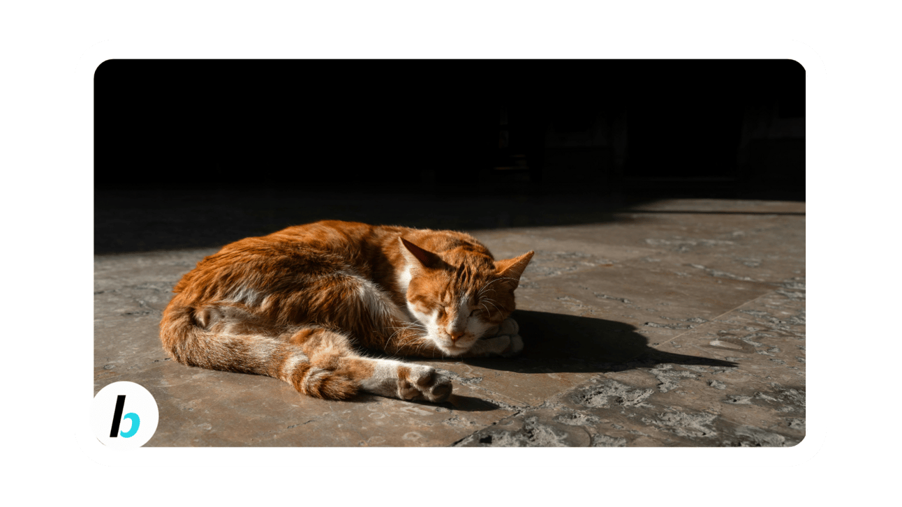 Adventuring through the Canadian Rockies