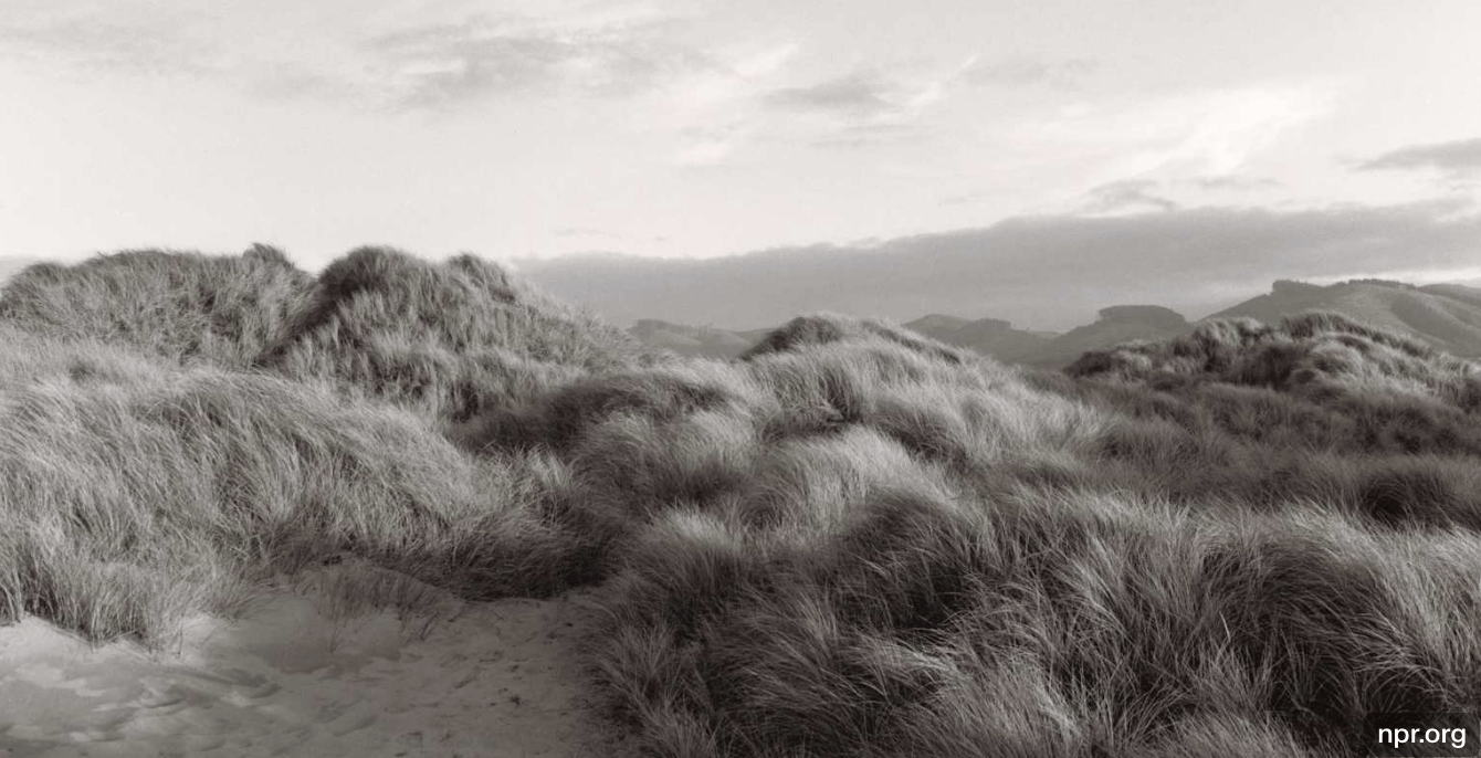 Adventuring through the Canadian Rockies