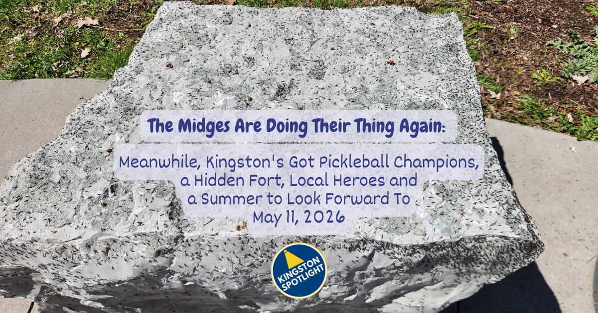 🔦 The Midges Are Doing Their Thing Again: Meanwhile, Kingston's Got Pickleball Champions, a Hidden Fort, Local Heroes and a Summer to Look Forward To | May 11, 2026