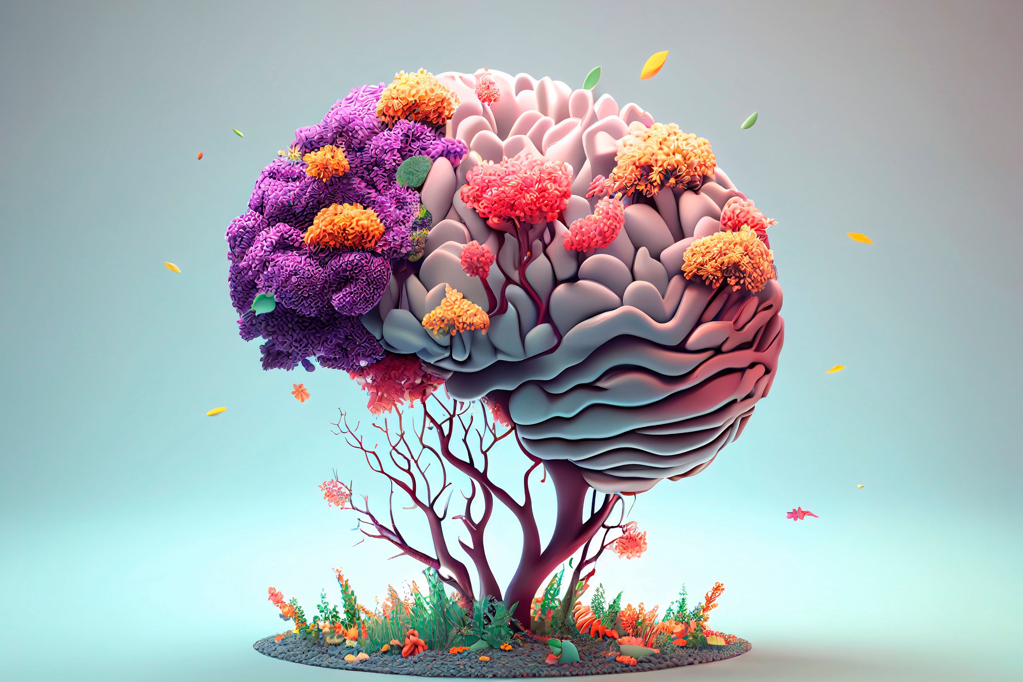 The 10% Happier Brain