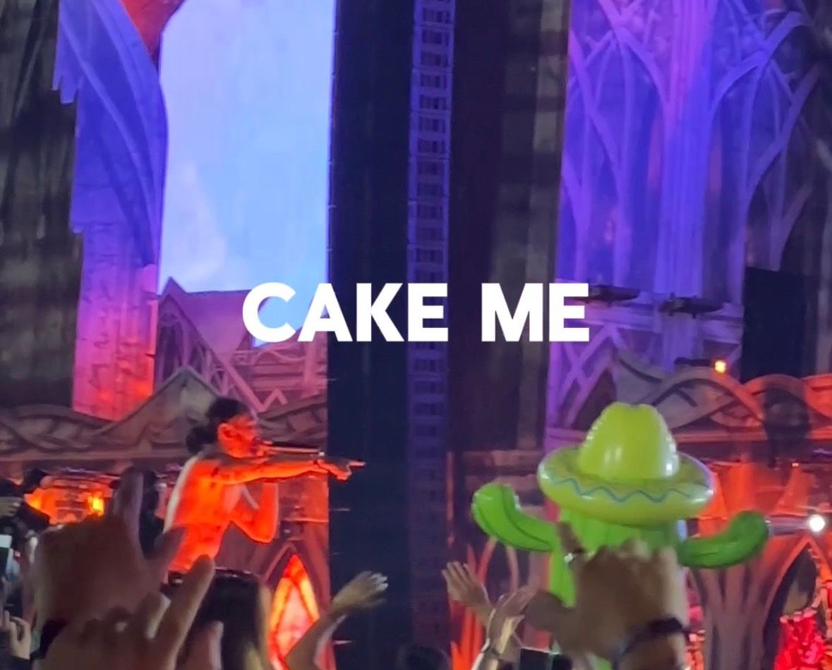 ROFL - Posted my vid on Steve Aoki's CAKING 🍰