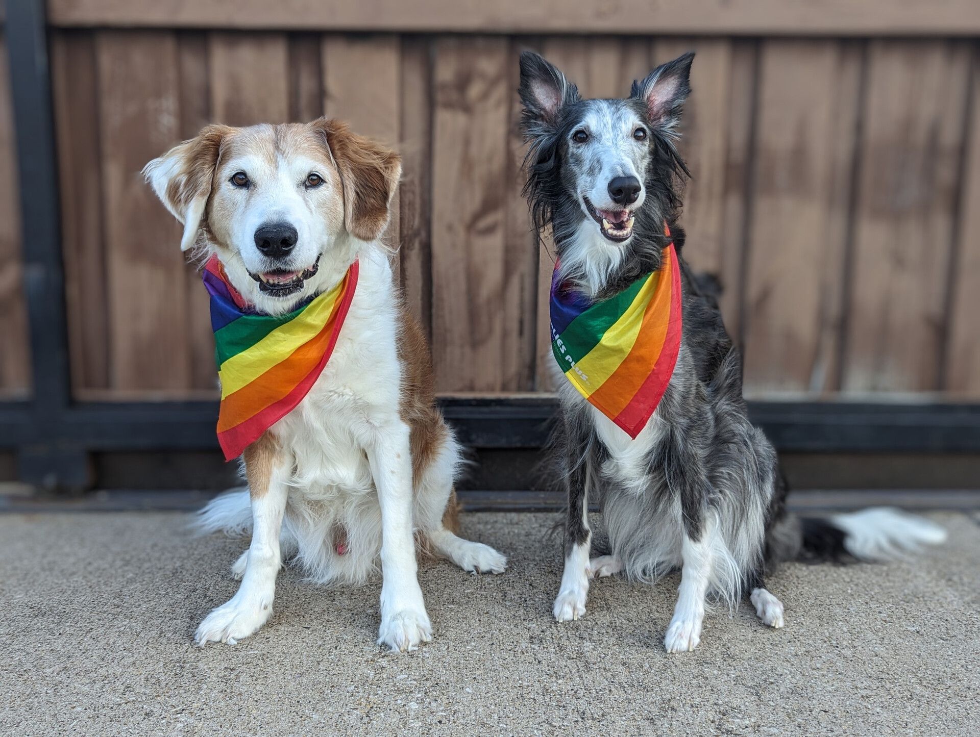 Adventuring through the Canadian Rockies