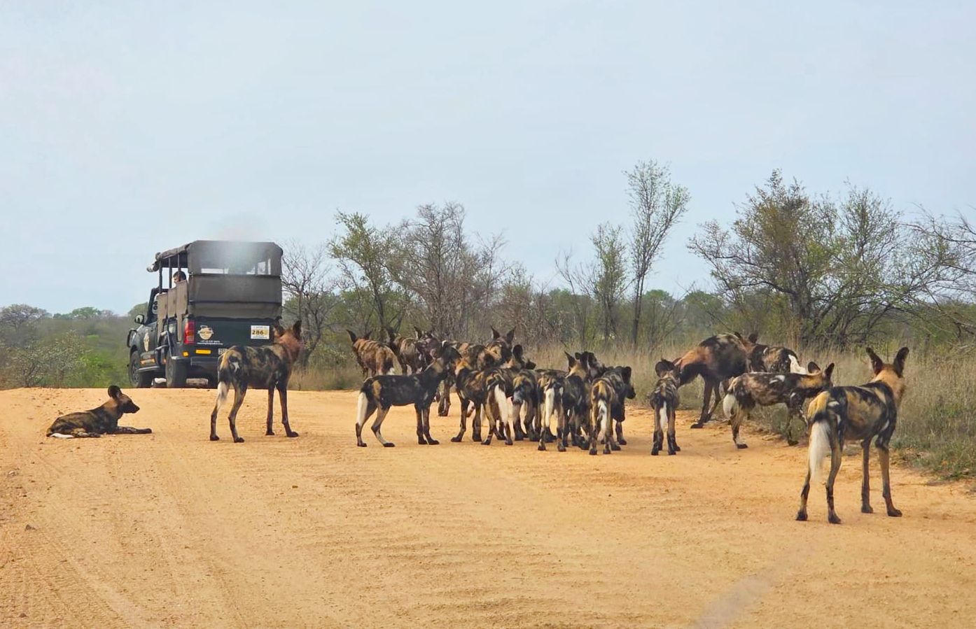 Adventuring through the Canadian Rockies