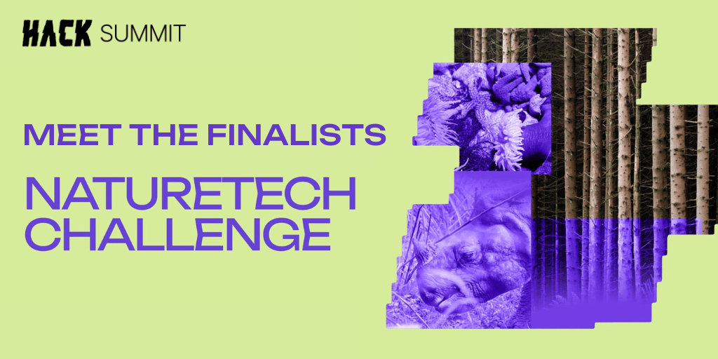 Adventuring through the Canadian Rockies