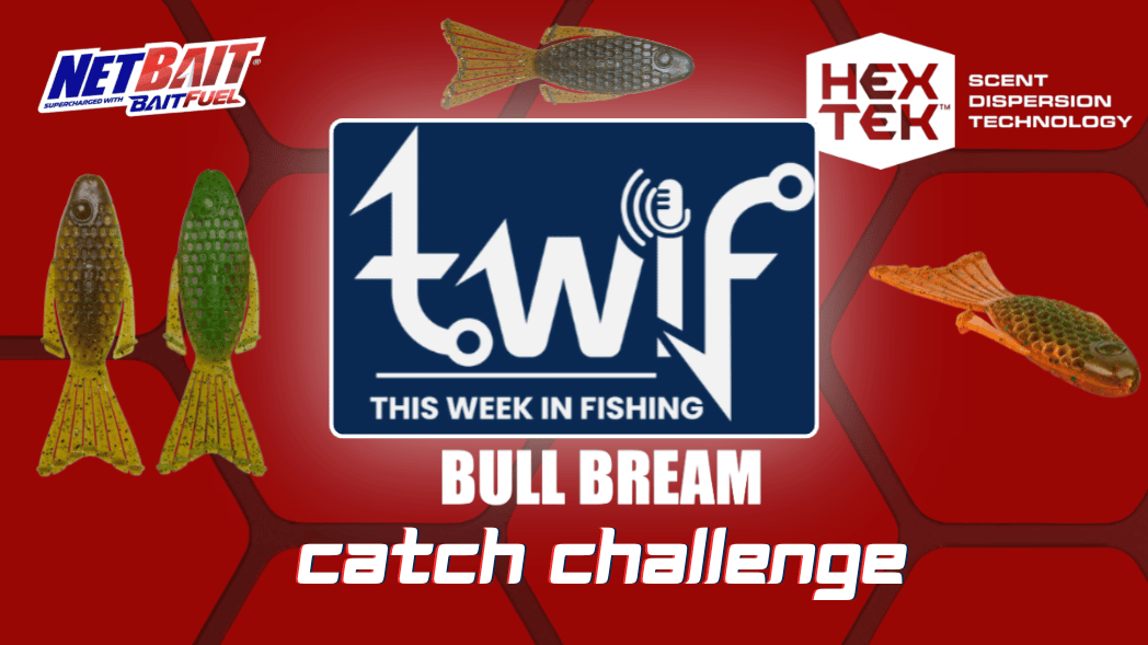 NEW BAIT LAUNCH - NEW CATCH CHALLENGE