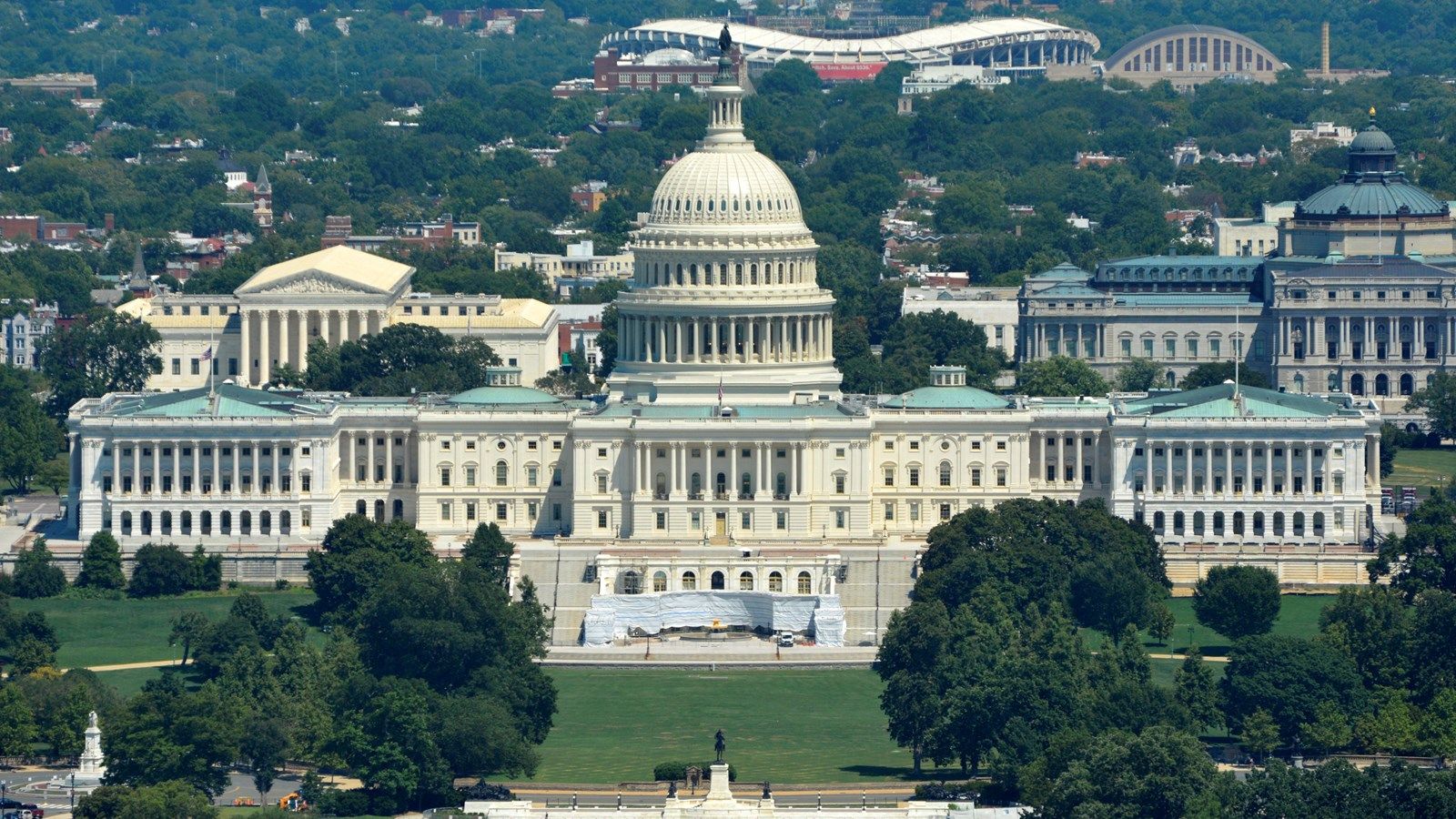 The case for cannabis industry advocacy