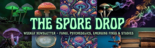March 2026 Mushroom News: New Species, Psilocybin Smoking Study, and 70% of Earth's Fungi Uncharted
