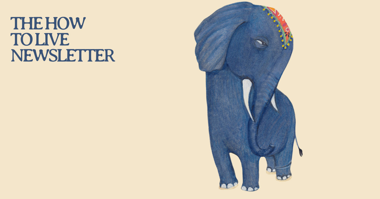 Adventuring through the Canadian Rockies