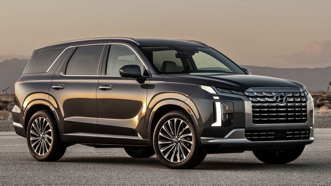 Fatal accident triggers Palisade recall, creating a challenge for dealers