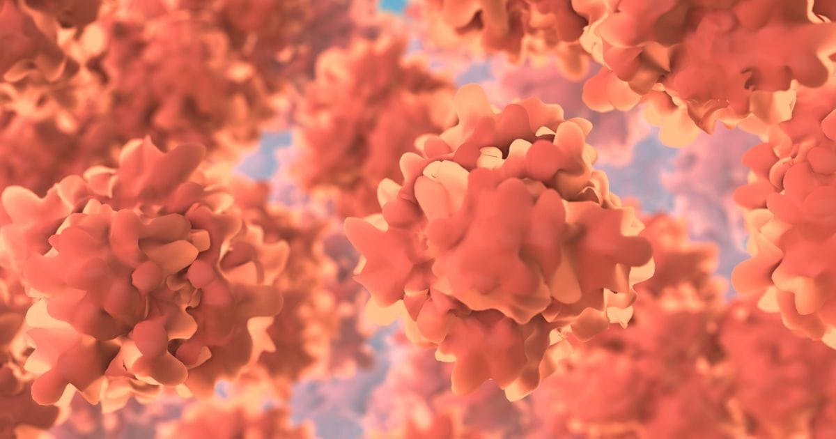 Adventuring through the Canadian Rockies