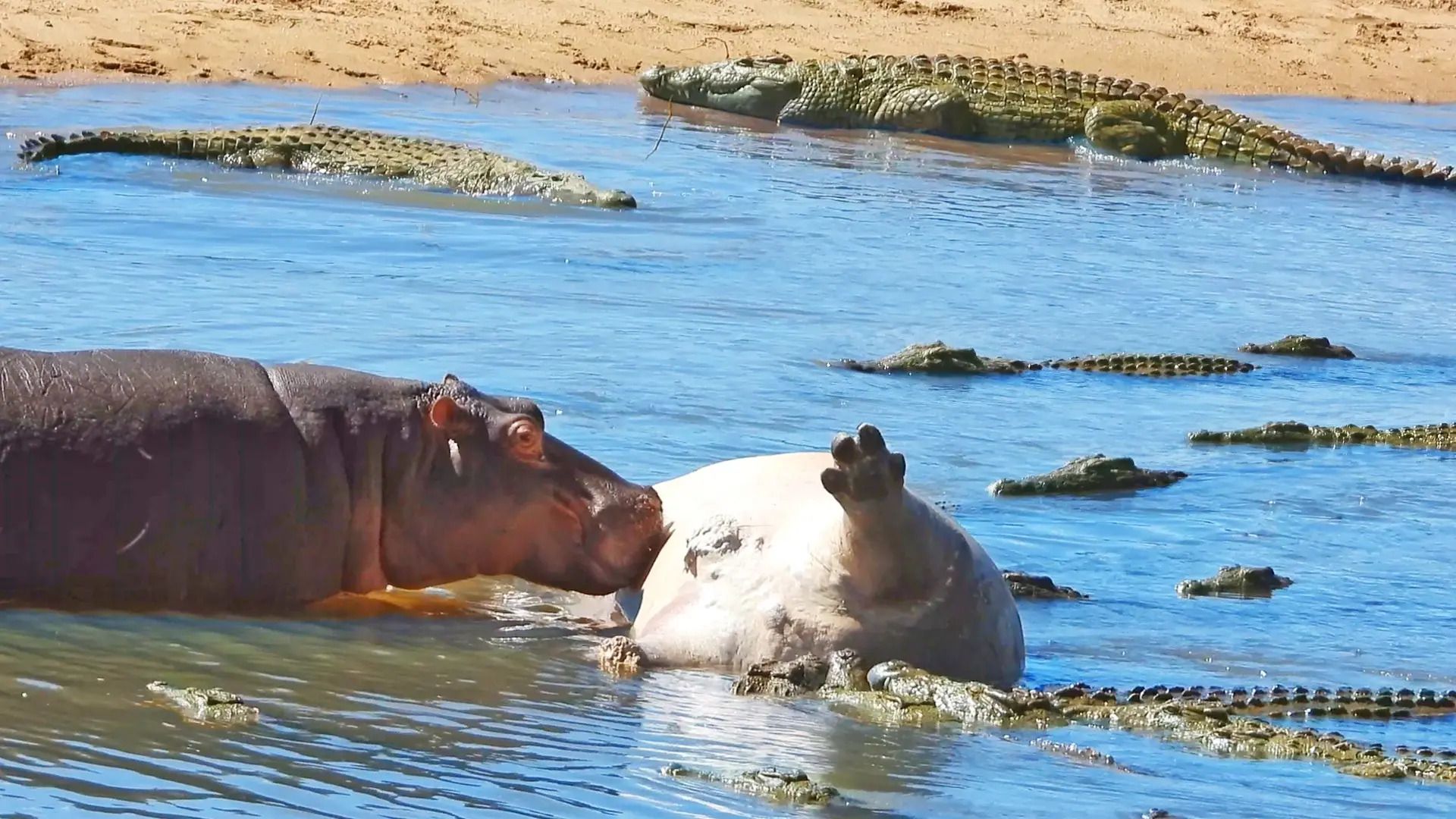 Adventuring through the Canadian Rockies