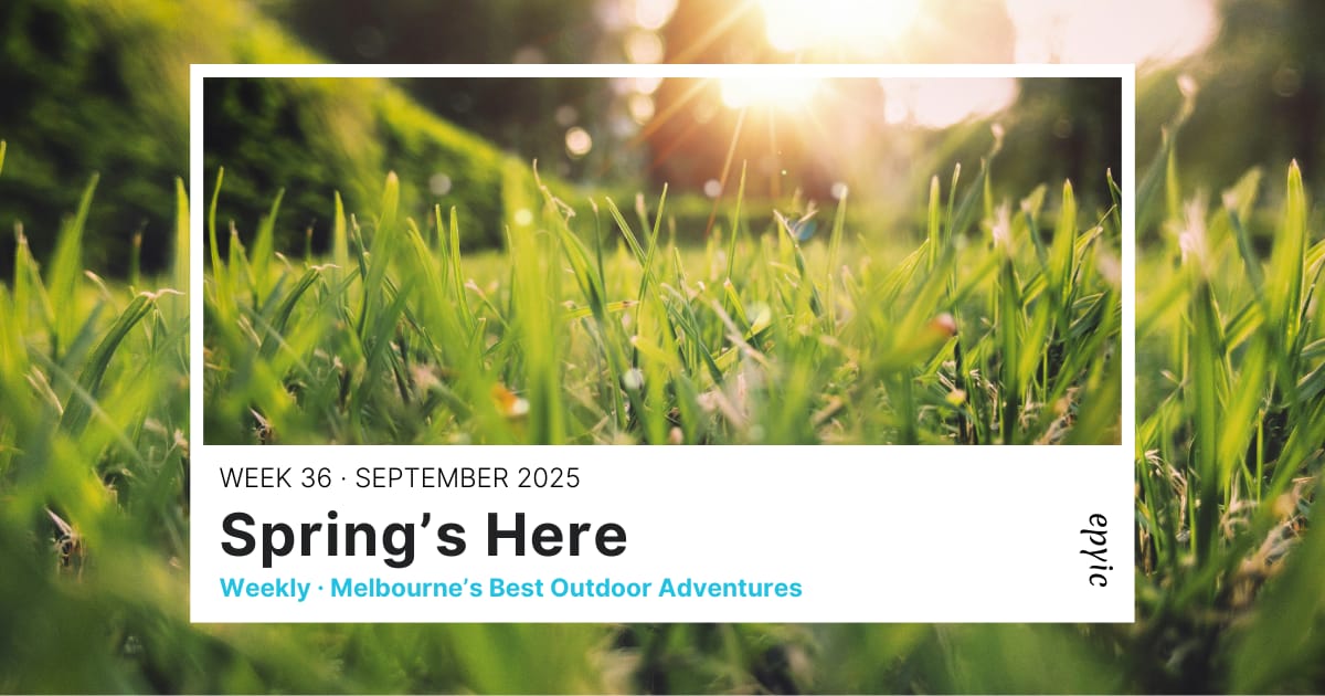 Adventuring through the Canadian Rockies