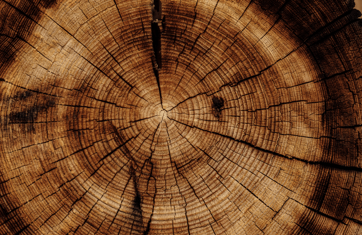 Oamenii vor sa invete, dar tine cont de ritmul lor de asimilare