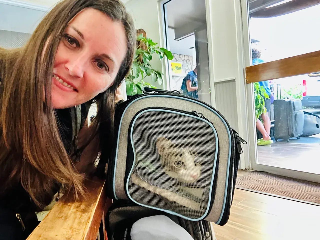 Moving Cats To NSA Bahrain